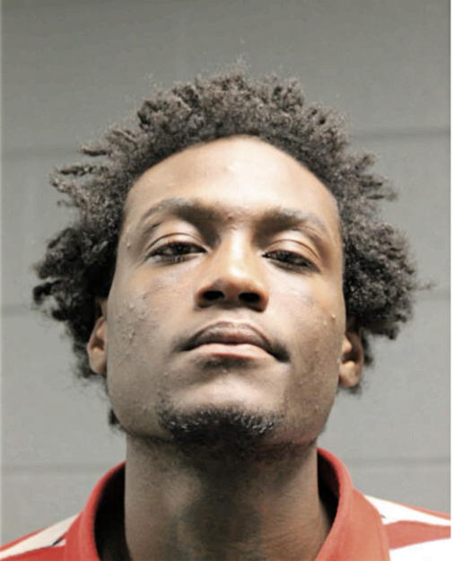 LDARIUS D JENKINS, Cook County, Illinois