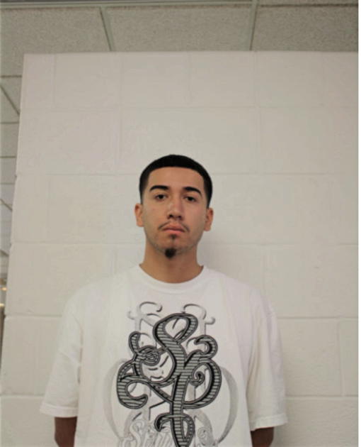 DAVID LEON, Cook County, Illinois