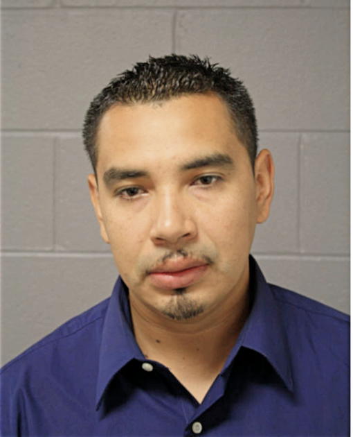 RICARDO MARTINEZ, Cook County, Illinois