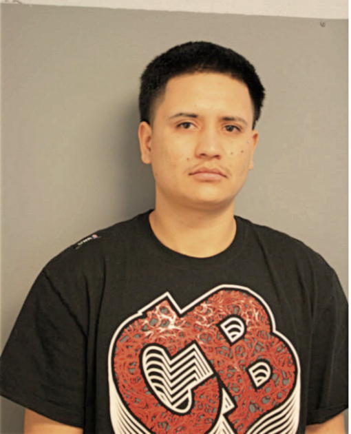 LUIS MELESIO, Cook County, Illinois