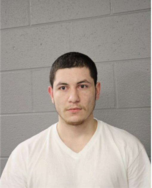 ARIEL NAVA, Cook County, Illinois