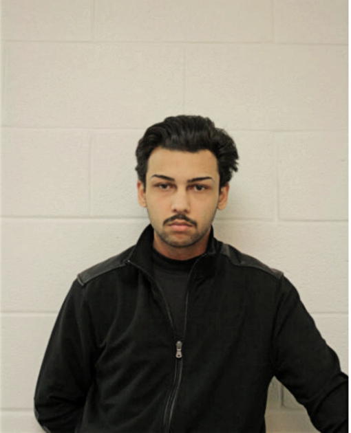 VINNIE E NICHOLAS, Cook County, Illinois