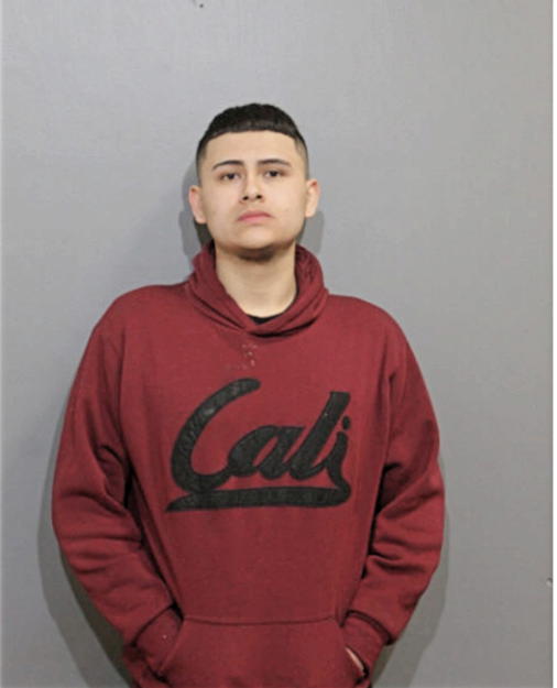 JOSE A ORTEGA SOTELO, Cook County, Illinois