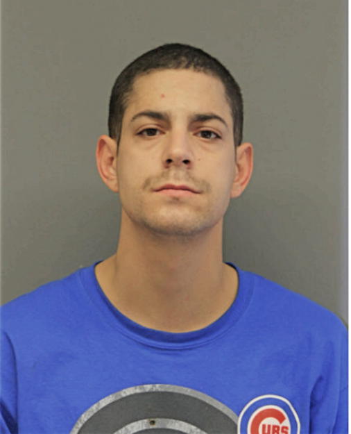 ANTHONY RICHARD PASSINI, Cook County, Illinois