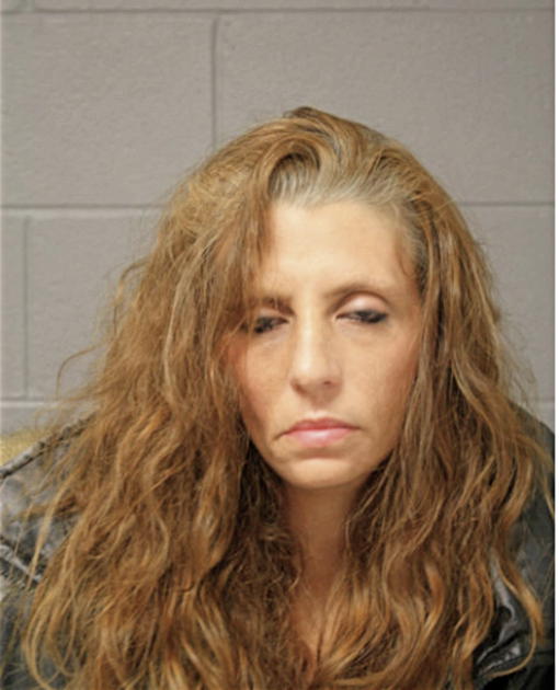 JULIE C RADCLIFFE, Cook County, Illinois