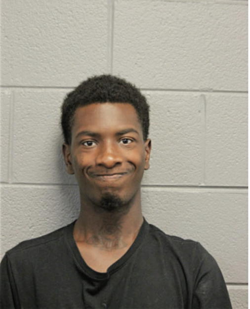 MICHAEL L RICHARDSON, Cook County, Illinois