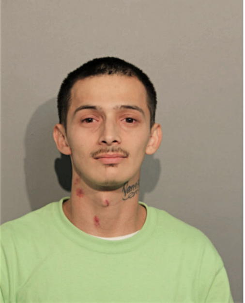 GUADALUPE R RODRIGUEZ, Cook County, Illinois