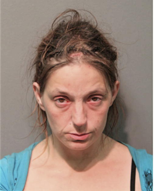ANDREA SHIFLETT, Cook County, Illinois