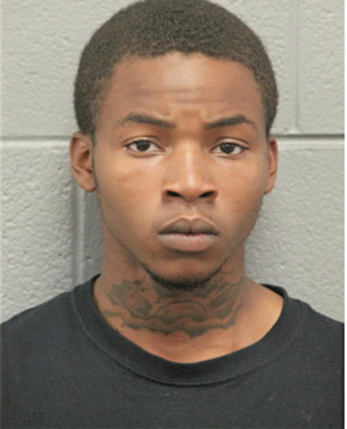 ERIK SPANN, Cook County, Illinois