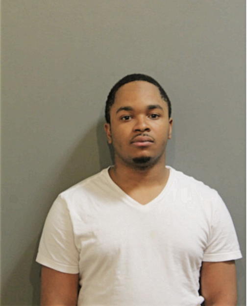 AARON A STEWARD, Cook County, Illinois