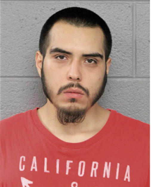 STEVEN ZARAGOZA, Cook County, Illinois