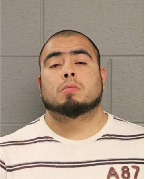 MIGUEL A ACOSTA, Cook County, Illinois