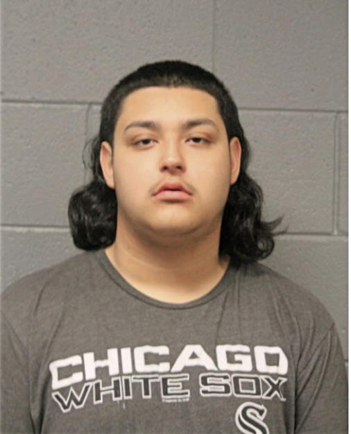 SEBASTIAN G COBOS, Cook County, Illinois