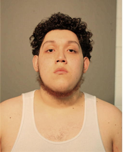 BRANDON O DE LOS-SANTOS, Cook County, Illinois