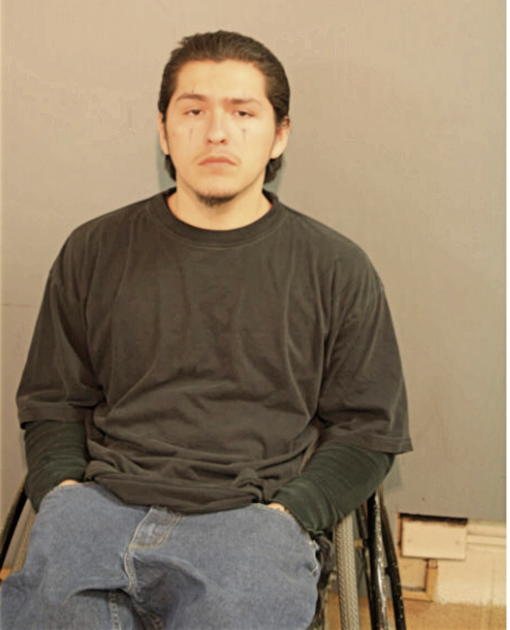 JOSE A FLORES, Cook County, Illinois