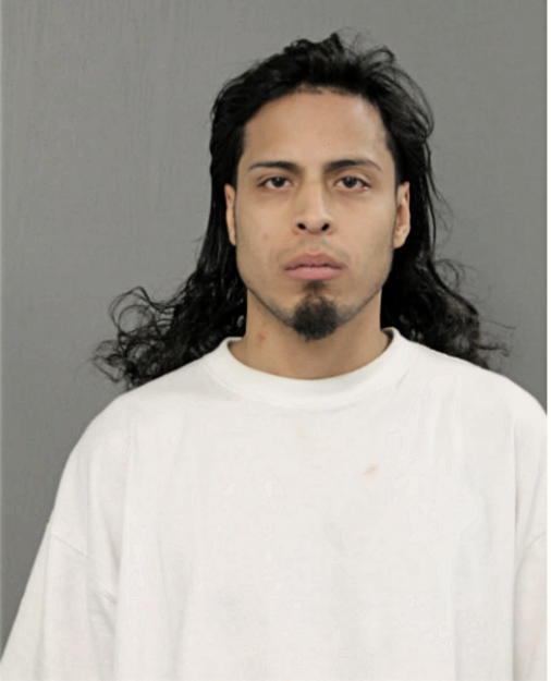 JAVIER GONZALEZ, Cook County, Illinois