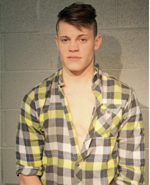 TRAVIS A HANAUER, Cook County, Illinois
