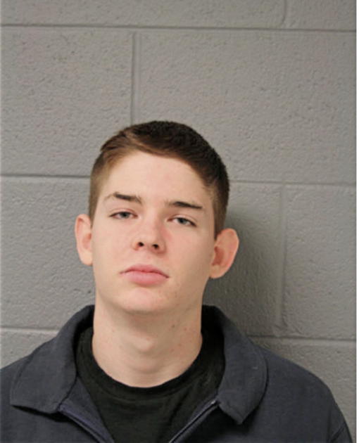 DAVID J HEISTERMAN, Cook County, Illinois