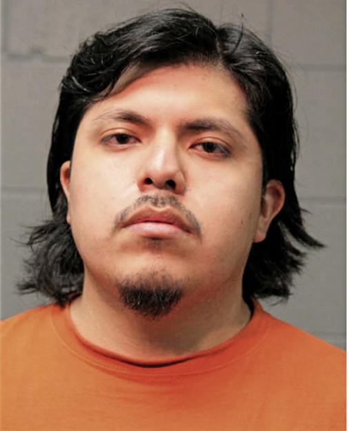 HENRY HERNANDEZ, Cook County, Illinois
