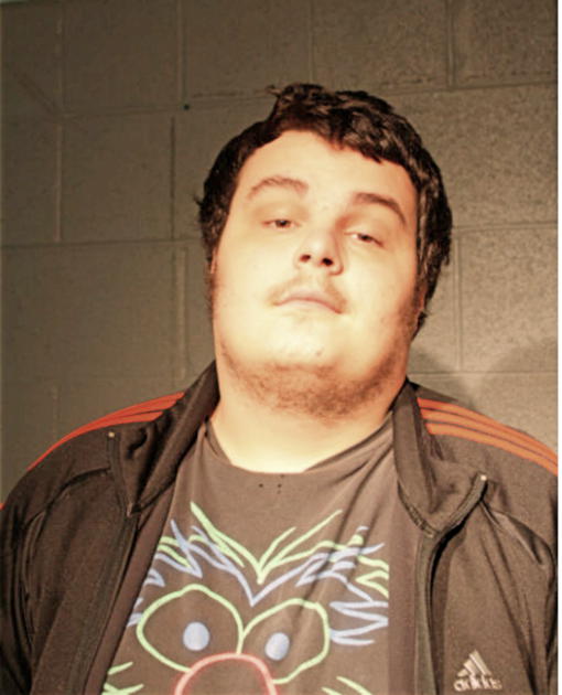 JUSTIN R HOFFMAN, Cook County, Illinois