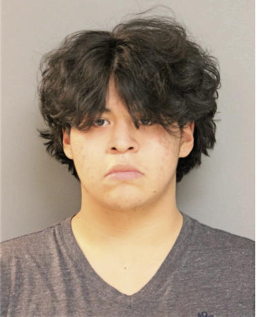 EDWIN IBARRA, Cook County, Illinois