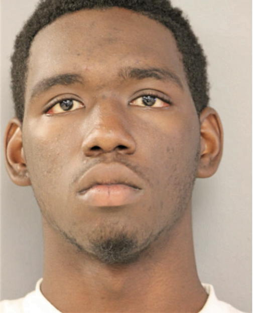 DARIUS D JOHNSON, Cook County, Illinois