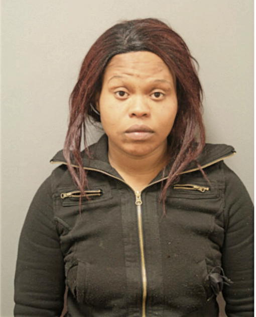 MARY N JOHNSON, Cook County, Illinois