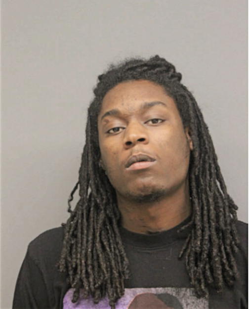 CHRISTOPHER N MILLER, Cook County, Illinois