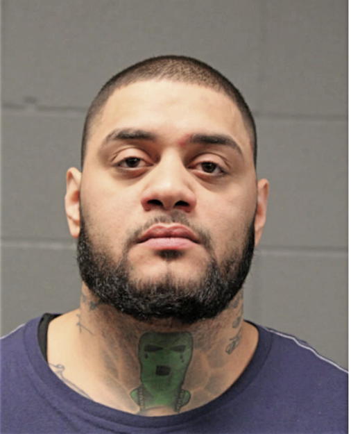 NICOLAS D ORTIZ, Cook County, Illinois