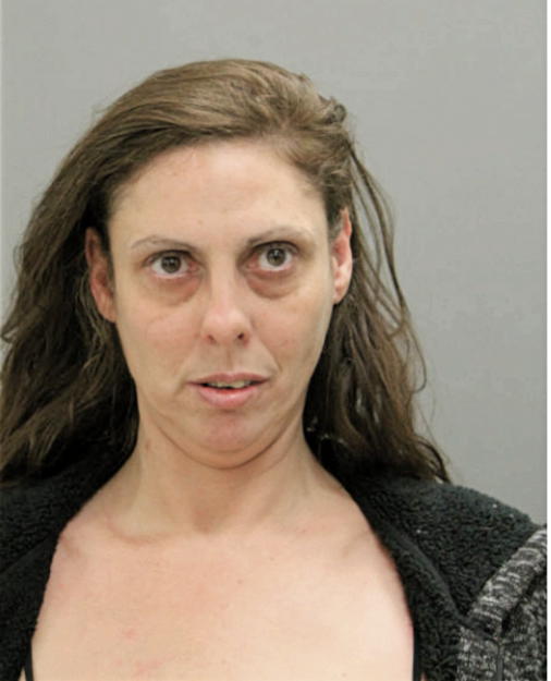 NICOLE L RIDGE, Cook County, Illinois