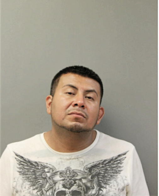 OLEGARIO ROMAN, Cook County, Illinois