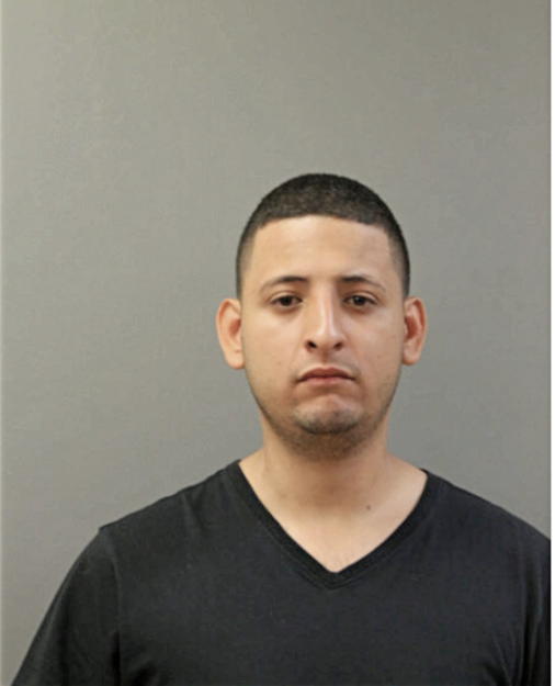 DAVID RUIZ, Cook County, Illinois