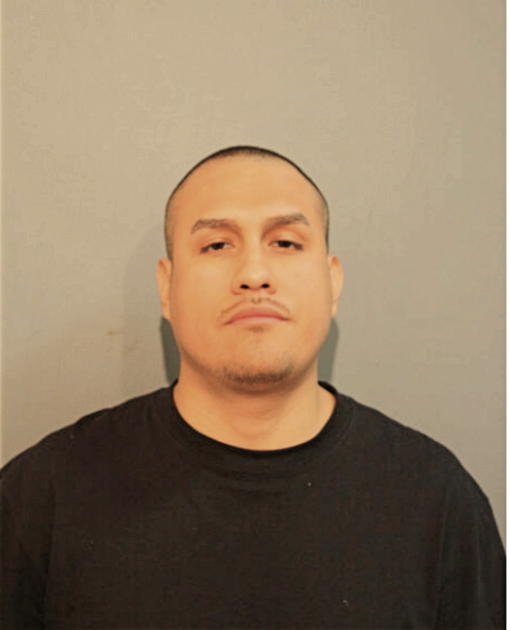 RENE VENEGAS, Cook County, Illinois