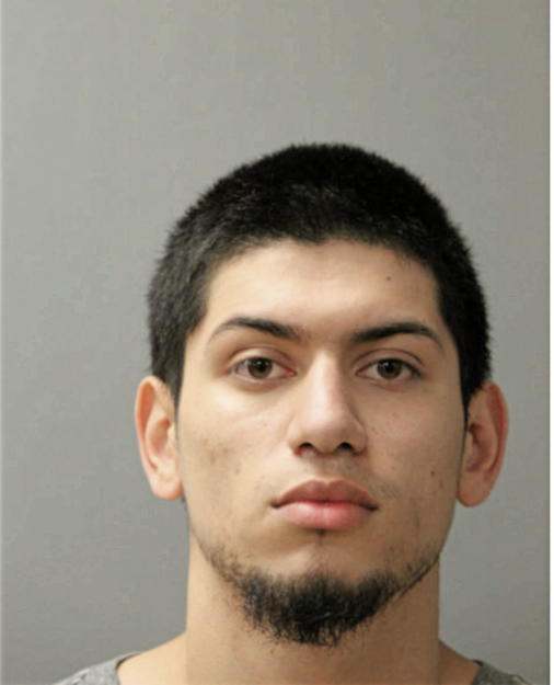 FERNANDO VERDIN, Cook County, Illinois
