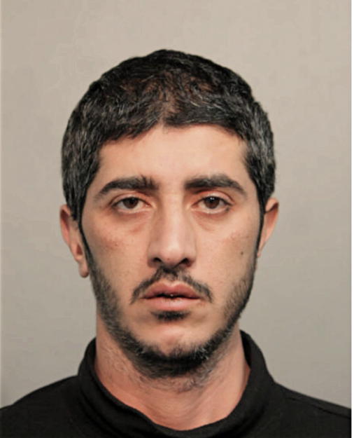 TEARY YOUNAN, Cook County, Illinois