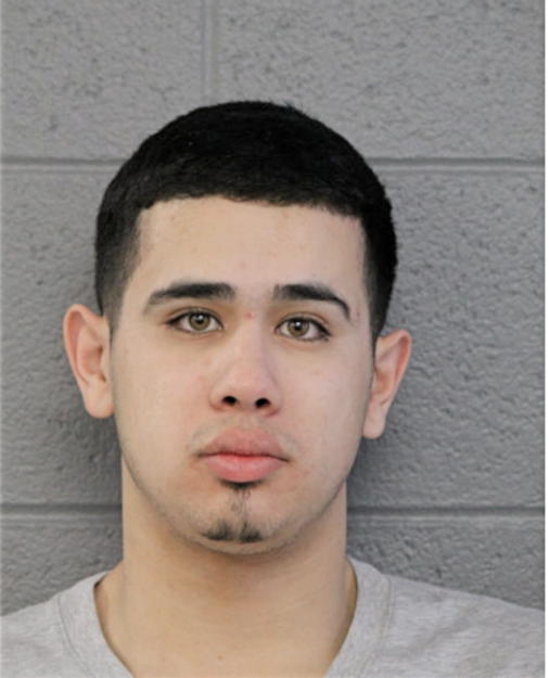 WILLIAM J ARAGONES, Cook County, Illinois
