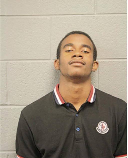 MICHAEL L CLARK, Cook County, Illinois