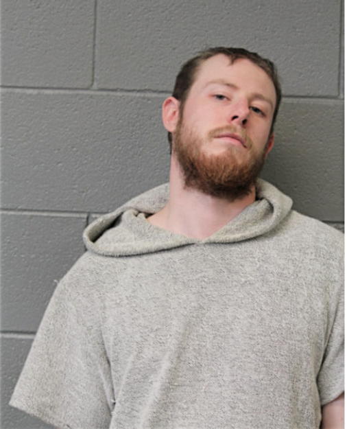 DANIEL G COSTIGAN, Cook County, Illinois