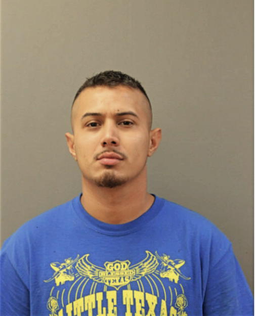 OMAR A DIAZ, Cook County, Illinois
