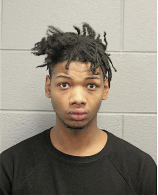 LOUIS S DOBY, Cook County, Illinois