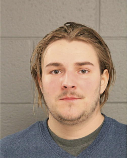 ROBERT J FINIK, Cook County, Illinois