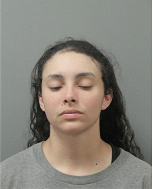 AELANI FLORES, Cook County, Illinois