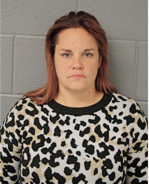 CANDICE D FOLEY, Cook County, Illinois