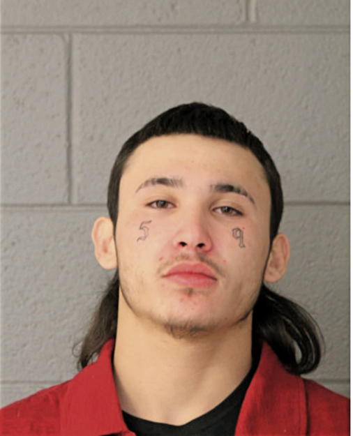 CHRISTIAN A GONZALEZ, Cook County, Illinois