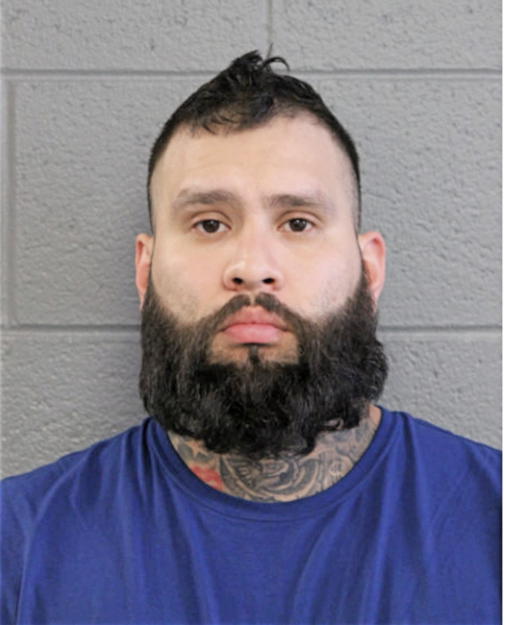 JOB D GONZALEZ, Cook County, Illinois