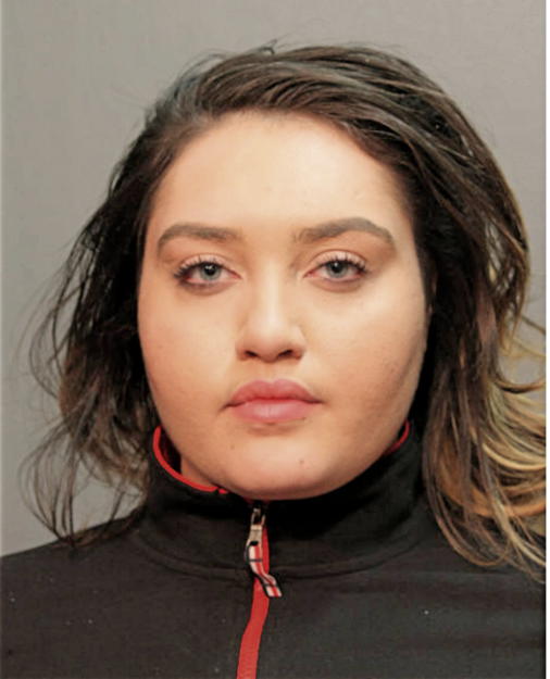 MICHELLE JOHNSON, Cook County, Illinois