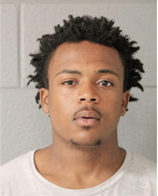 SEAN L KING, Cook County, Illinois