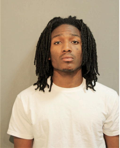 DMARIO A LEWIS, Cook County, Illinois