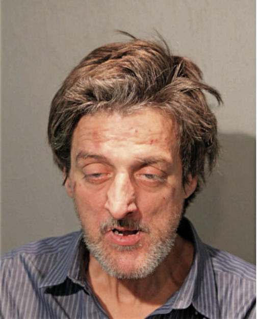BRIAN E LONERGAN, Cook County, Illinois