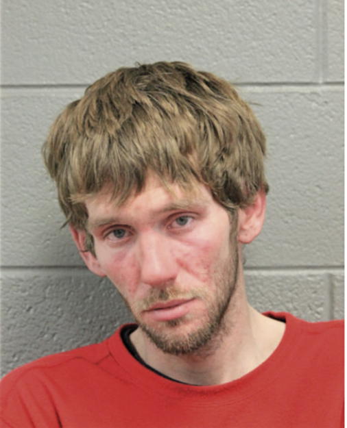 LUKAS MICHAEL MCENTEE, Cook County, Illinois